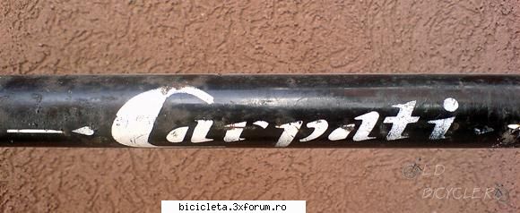 carpati dama 1968 bicicleta carpati barbati