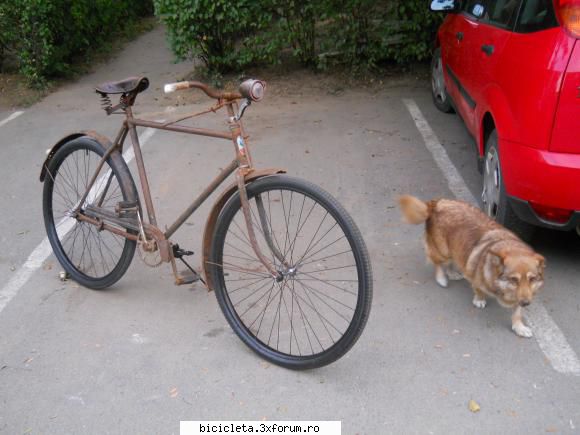 pun una si cu prostovana scarii  ca altfel se supara ..... :rotfl: carpati 1965
