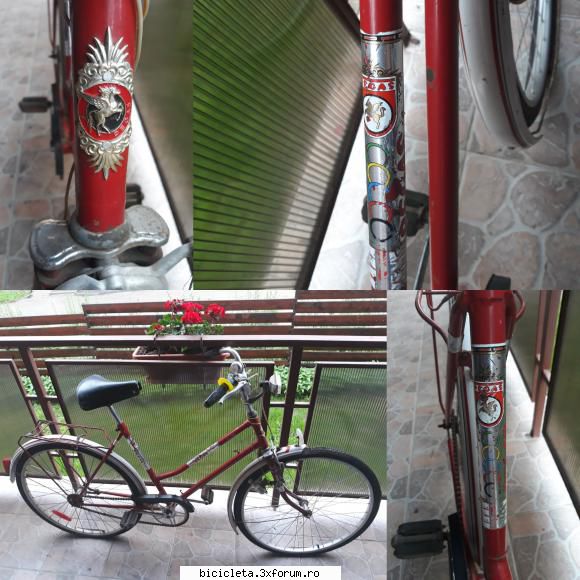 noutate in colectie pegas 2126