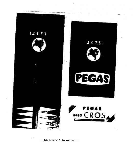 2 pegas 4420 cros sigle biciclete