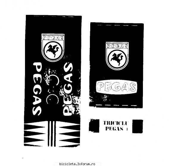 9 pegas 1 sigle biciclete