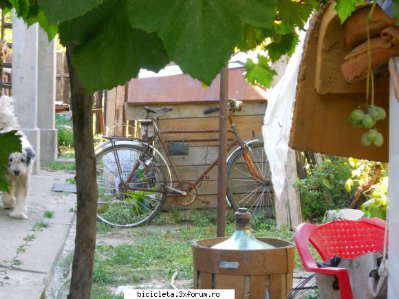 Vanatoarea de biciclete - POZA SPION. Oare ce-o fi ???? Zil sau Ucraina ? - Poze biciclete vechi