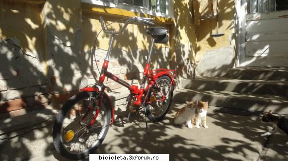 Vanatoarea de biciclete - Salutare, bine v-am gasit! Sunt eu, un 3120 - Poze biciclete vechi
