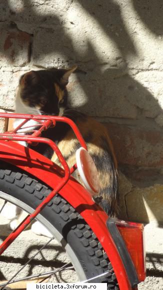 ochiul vanatoarea de biciclete