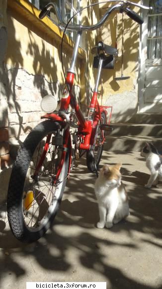 au formulat concluzii clare , sunt a familiei , iar �n timpului dedicat mie ... se fac că
