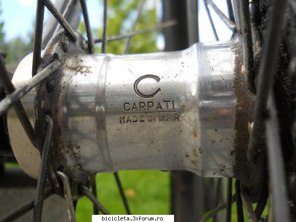 butuc vand carpati 1962