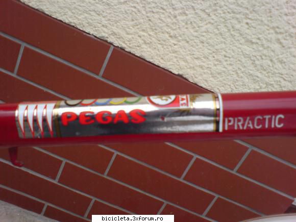 nelamurire Pegas Practic - AndrewsBicycles - Prezentare biciclete