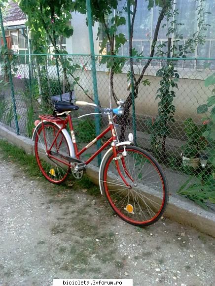 pegas personala. pegas ideal