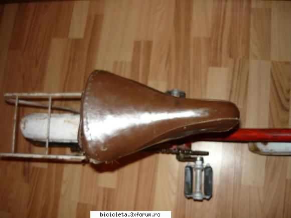 poza pegas mini