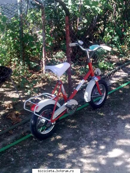 micul pegas arata de azi mai bine cu primit de la un coleg si sa i gasesc gentuta de sa.. :hi: pegas