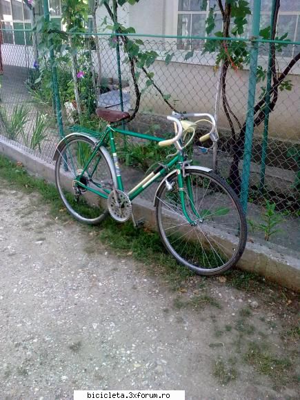bicla sputnik personala. sputnik 1978